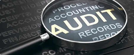 The Audit